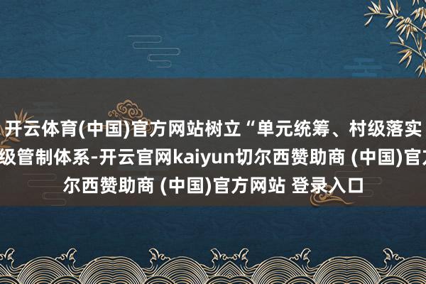开云体育(中国)官方网站树立“单元统筹、村级落实、网格实行”三级管制体系-开云官网kaiyun切尔西赞助商 (中国)官方网站 登录入口