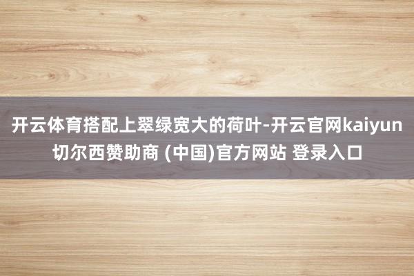 开云体育搭配上翠绿宽大的荷叶-开云官网kaiyun切尔西赞助商 (中国)官方网站 登录入口