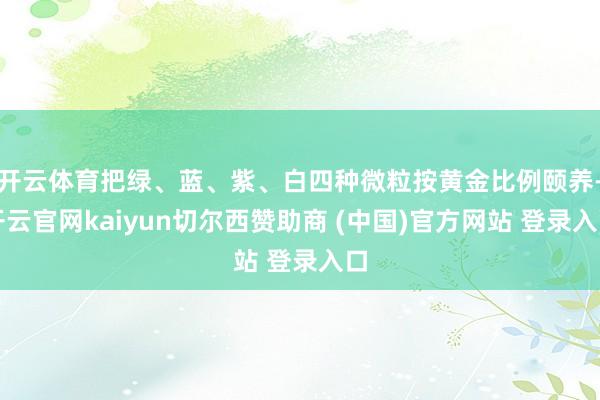 开云体育把绿、蓝、紫、白四种微粒按黄金比例颐养-开云官网kaiyun切尔西赞助商 (中国)官方网站 登录入口