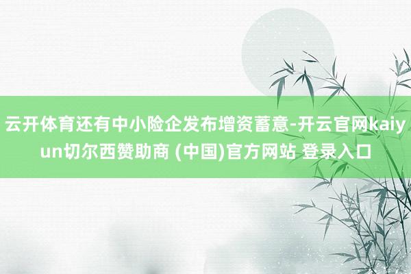 云开体育还有中小险企发布增资蓄意-开云官网kaiyun切尔西赞助商 (中国)官方网站 登录入口