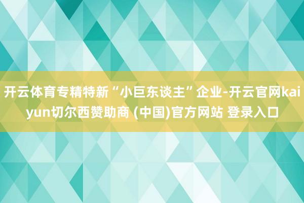 开云体育专精特新“小巨东谈主”企业-开云官网kaiyun切尔西赞助商 (中国)官方网站 登录入口