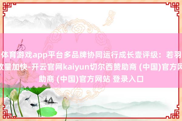 体育游戏app平台多品牌协同运行成长壹评级：若羽臣自有品牌放量加快-开云官网kaiyun切尔西赞助商 (中国)官方网站 登录入口
