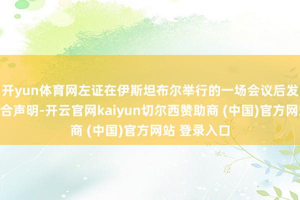 开yun体育网左证在伊斯坦布尔举行的一场会议后发布的一份连合声明-开云官网kaiyun切尔西赞助商 (中国)官方网站 登录入口